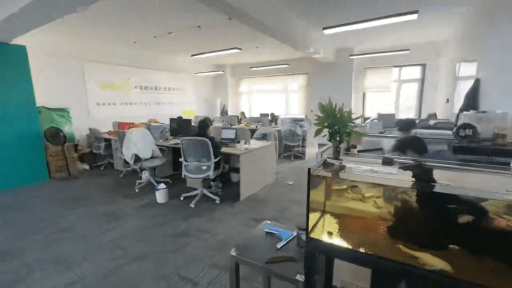 專業(yè)服務(wù)，家的港灣 大連鯨嶼家政服務(wù)引領(lǐng)品質(zhì)生活新風(fēng)尚